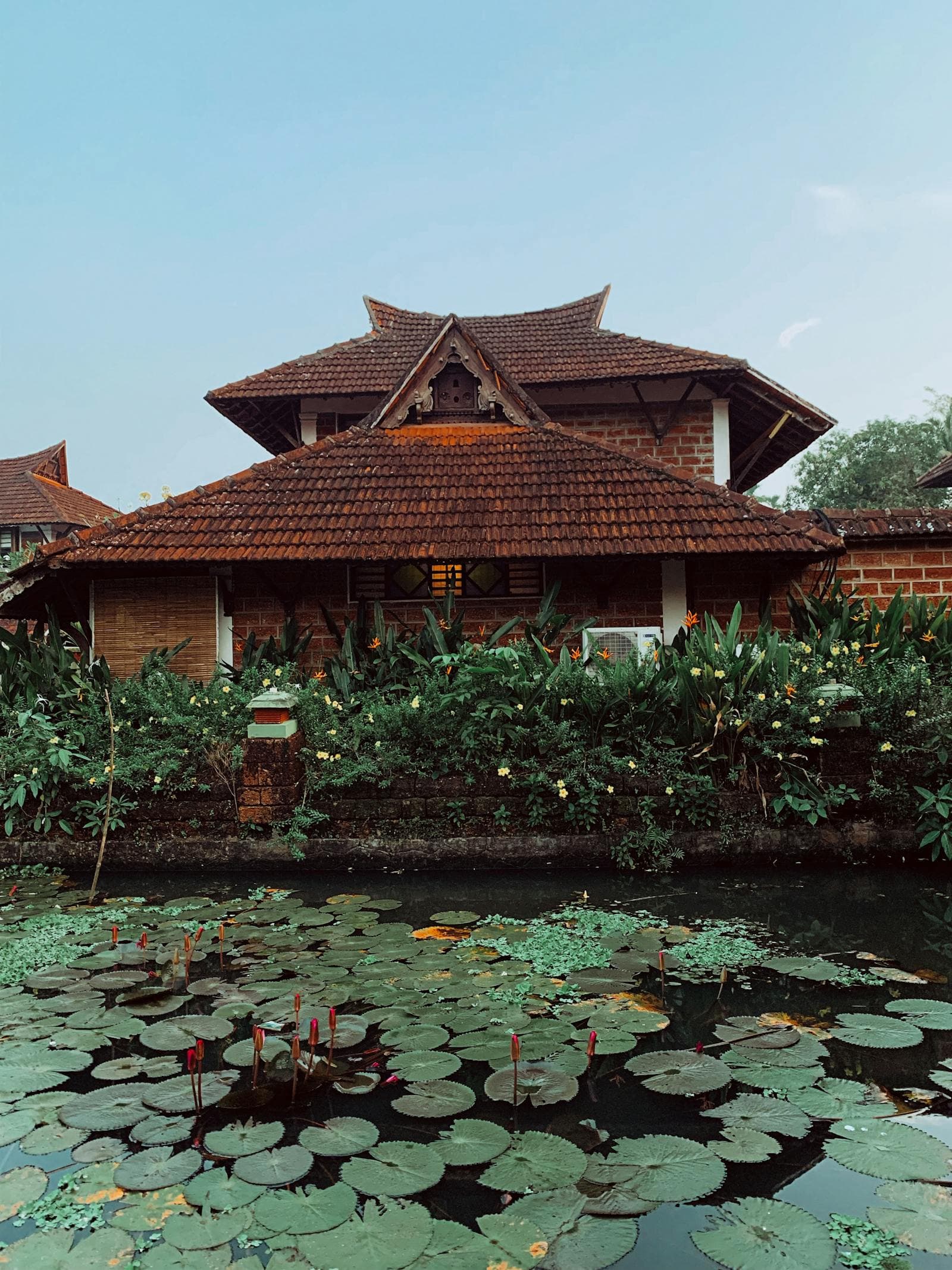 Tiled roof, lily pond — the architecture of slowness.