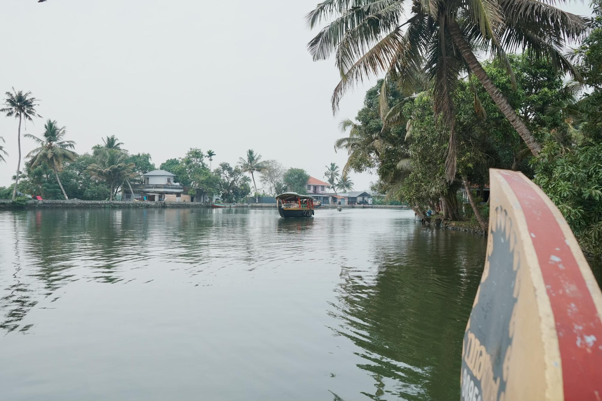 Vembanad backwater at dawn — houseboat passing the palms